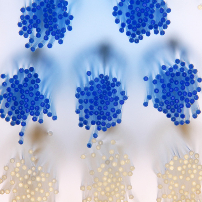 Take a closer look at your toothbrush!